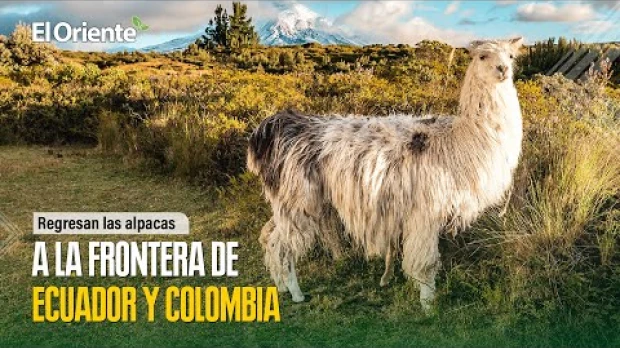 Noticias Ecuador. Podcast Noti Oriente 20-03-2023