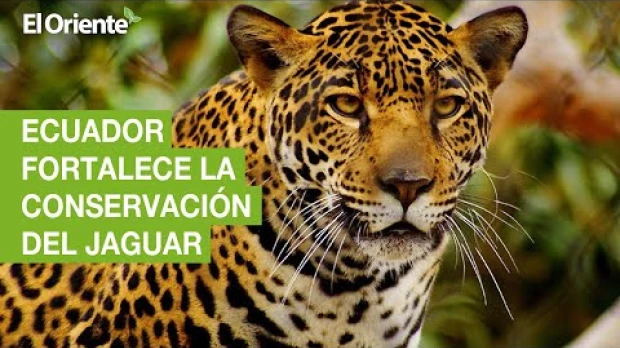 Noticias Ecuador. Podcast Noti Oriente 30-11-2022