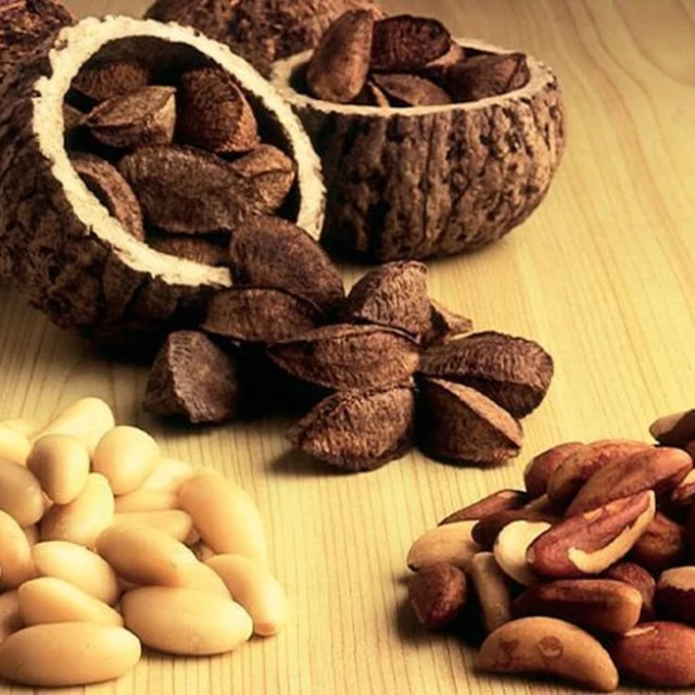 Perú: Castaña amazónica generó US$ 48 millones en exportaciones
