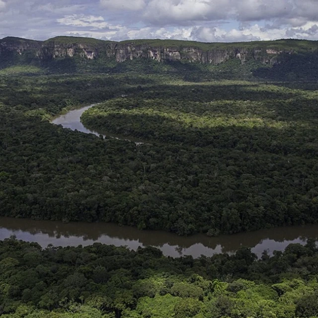 Colombia: Aumenta la deforestación en Parques Nacionales mientras nuevo gobierno anuncia revisión de la política ambiental