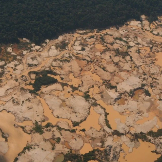 La deforestación en Colombia aumentó en 2025 un 5,2%