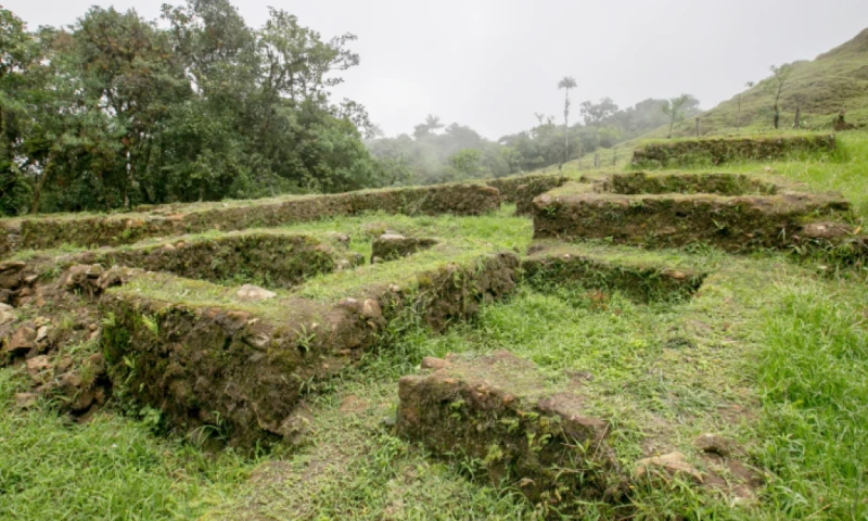 La medida se dio en el contexto del Día Nacional del Patrimonio Cultural / Foto: cortesía Ministerio de Educación