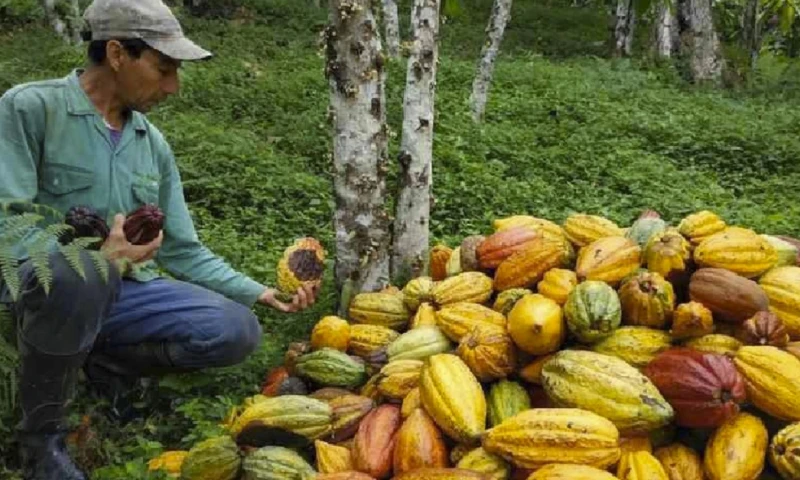 Ecuador se posiciona como un referente en recursos naturales / Foto: MAAE