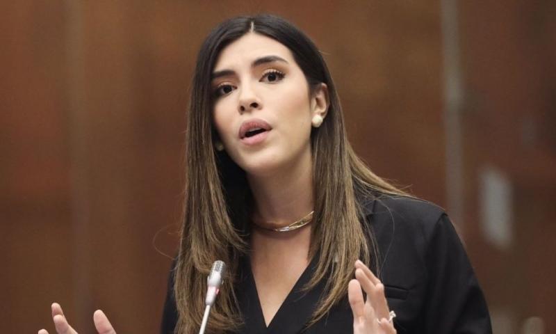 Valentina Centeno, asambleísta de ADN, fue la ponente del proyecto / Foto: cortesía Valentina Centeno