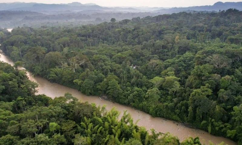  El sistema fluvial Nushino-Curaray-Villano se encuentra en la Amazonía ecuatoriana / Foto: cortesía de TNC