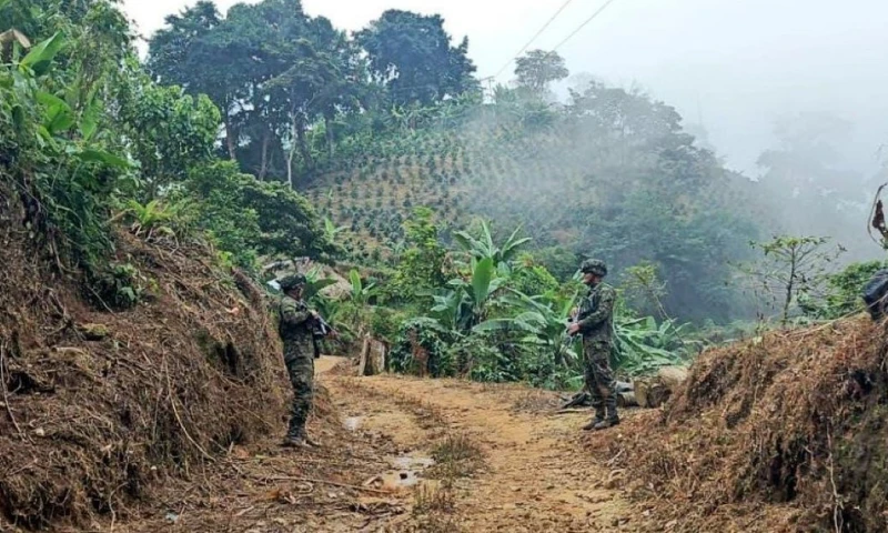  Las operaciones las realizó la Dirección de Carabineros y Protección Ambiental / Foto: cortesía Ejército colombiano 