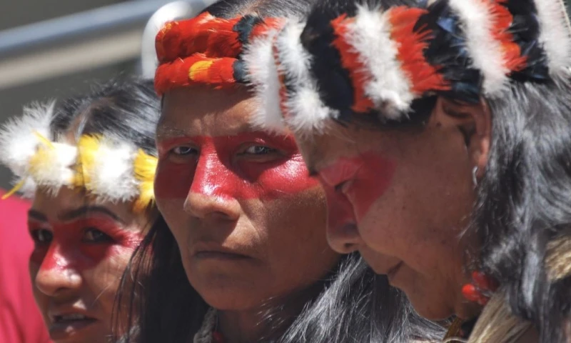 El conflicto entre kichwas y waoranis ocurre en la parroquia Dayuma / Foto: cortesía 