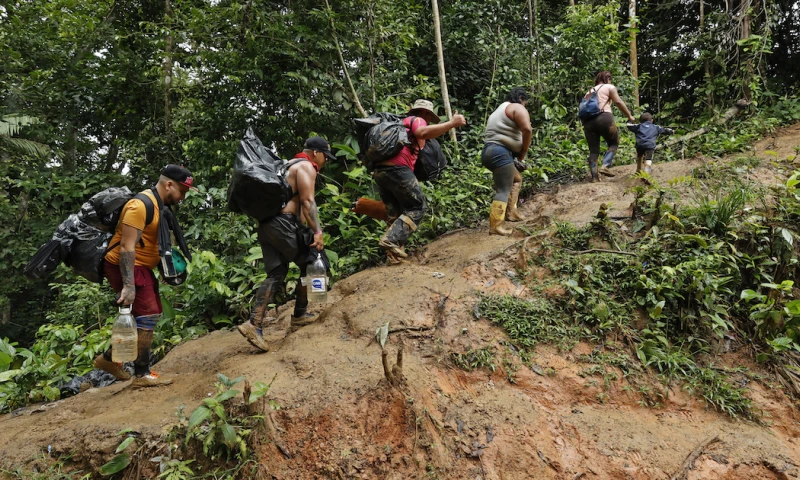Número de migrantes que cruzaron el Tapón del Darién en enero se cuadriplicó / Foto: EFE