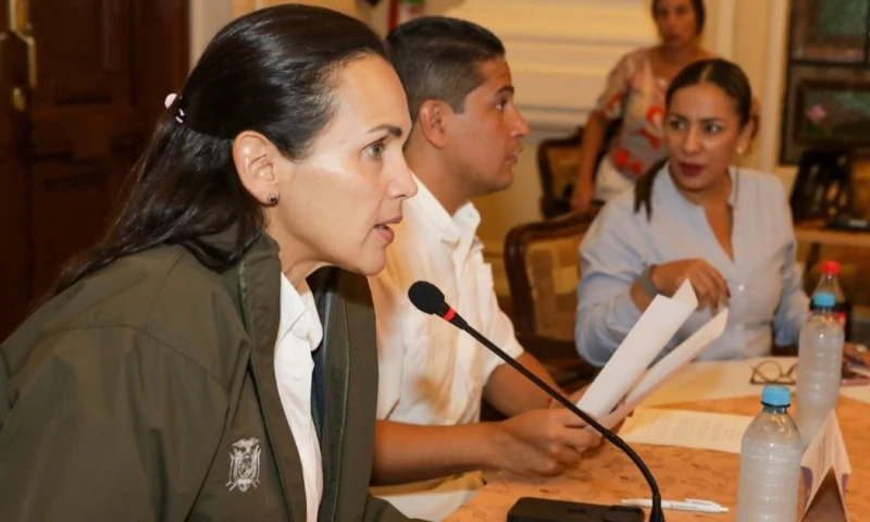 Inés Manzano, ministra de Energía y Minas, también lidera el COE / Foto: cortesía Inés Manzano