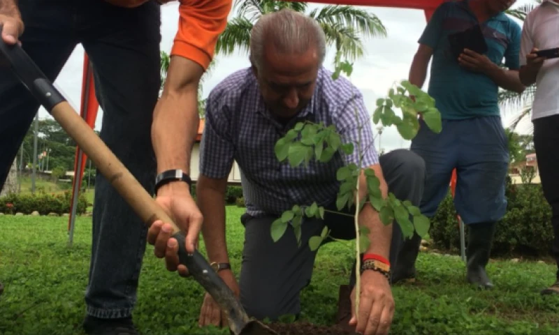 Siembran 900 plantas en la Amazonía ecuatoriana en el Día Nacional del Árbol. Foto: El Comercio
