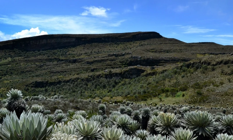 La UTPL estrena serie documental sobre los páramos / Foto: EFE
