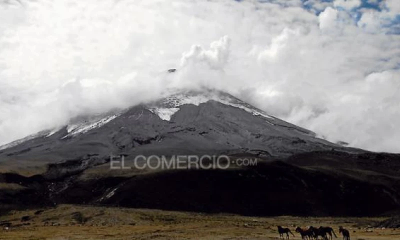 Foto: El Comercio