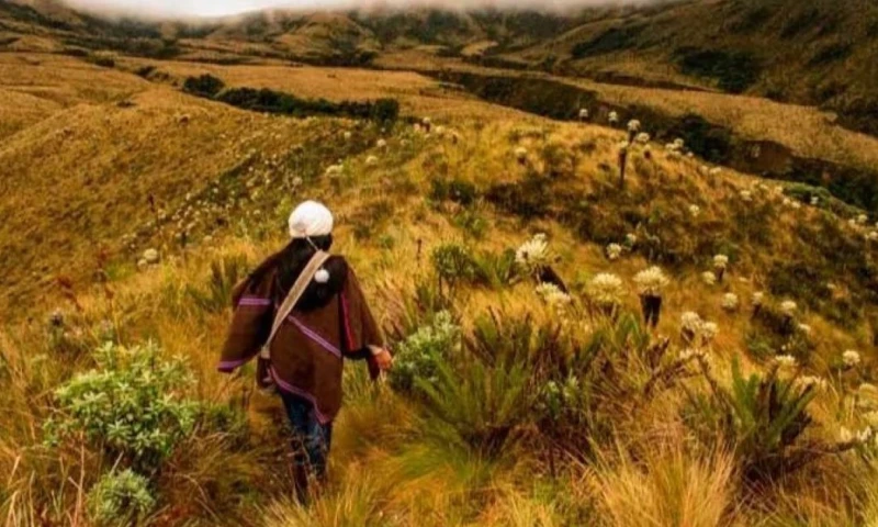 El valor inicial del 'token' será de 7,77 dólares / Foto: cortesía Urku