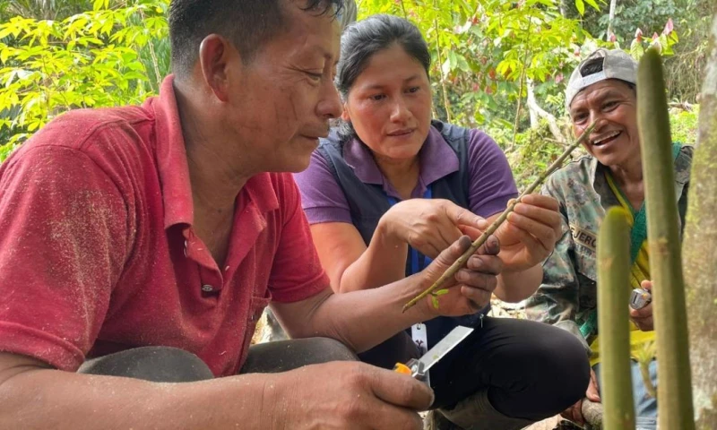 Los productores de la comunidad Wambula participaron en el taller / Foto: cortesía MAGP