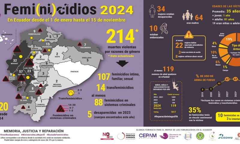 El país registró 215 feminicidios entre el 1 de enero y el 15 de noviembre de 2024 / Foto: cortesía Fundación Aldea