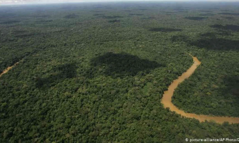 La fiebre del oro negro amenaza los tesoros del Parque Natural Yasuní. Foto: D. Ochoa vía DW.