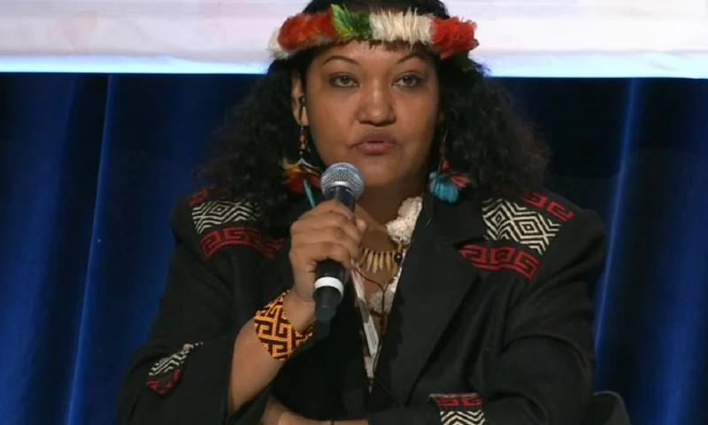 Los pueblos indígenas exigen proteger el 80 % de la Amazonía para 2025 / Foto: COICA Amazonía