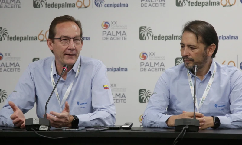 "Ecuador está con un problema serio de pudrición del cogollo y están cambiando prácticamente toda su palmicultura hacia híbridos interespecíficos OxG" / Foto: EFE