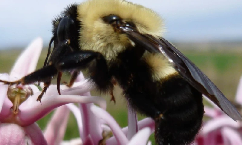 La investigación incluye 1.756 registros de diecisiete de las veinticuatro provincias del país / Foto: cortestía Mtent.org