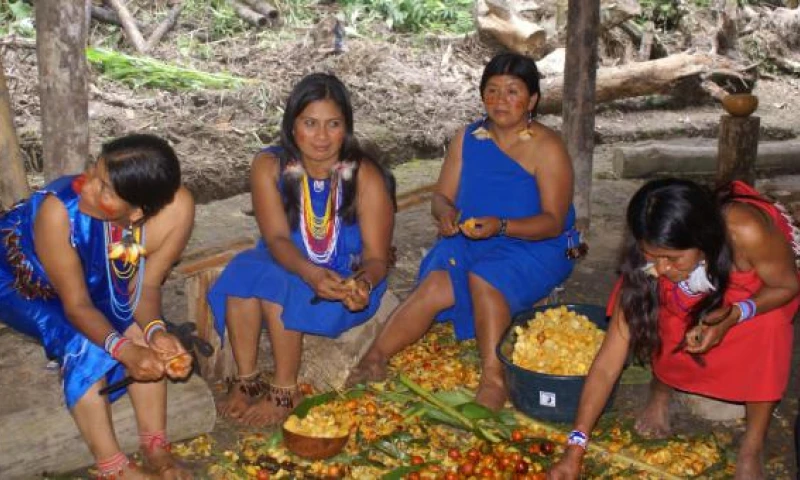 Las mujeres shuar mientras escogen lo mejor de la cosecha de chonta para preparar los alimentos. Foto: El Comercio