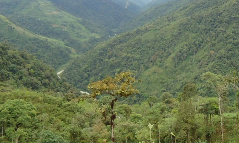 La central hidroeléctrica Ocaña II tendrá 29 MW / Foto: cortesía ElecAustro