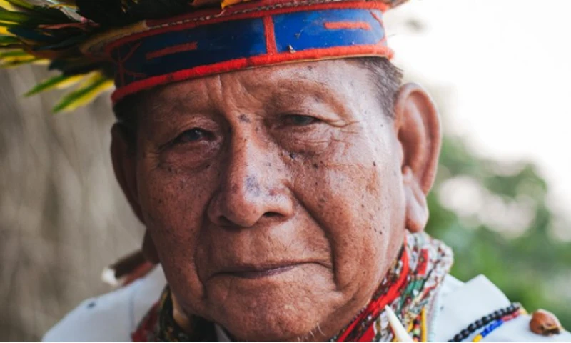 Foto: Mongabay Latam