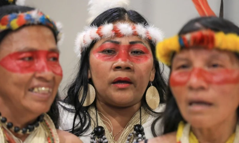 Más del 96 % de los grupos en aislamiento se enfrenta a amenazas de industrias extractivas, como la tala, la minería y la perforación de petróleo y gas / EFE