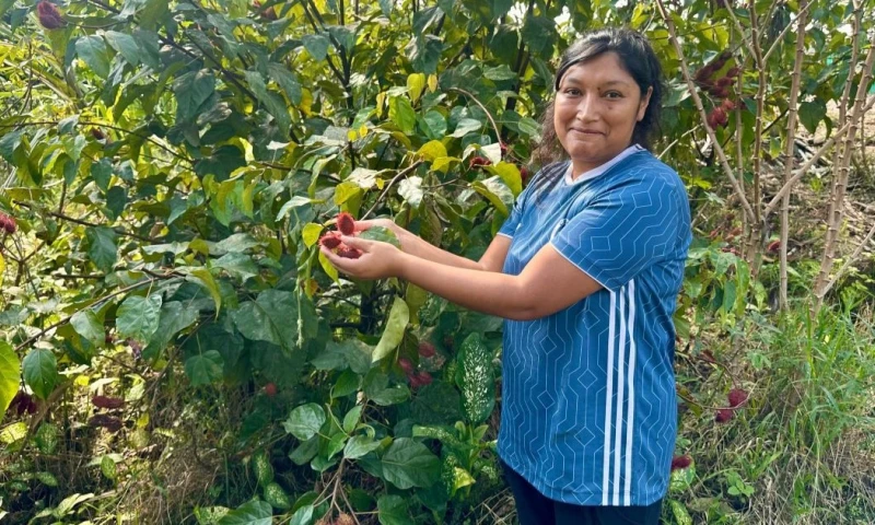 Actualmente, más de 4.600 personas en Pastaza reciben atención del MDH a través de distintos programas sociales / Foto: cortesía Ministerio de Desarrollo Humano