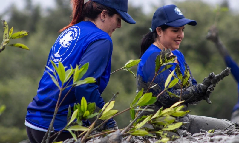 Esta iniciativa busca reducir sus emisiones de carbono en un 42 % para 2030 / Foto: cortesía DP World Posorja