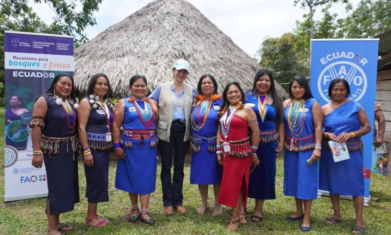 El respaldo de la Organización de las Naciones Unidas para la Alimentación y la Agricultura ha sido clave en este proceso / Foto: cortesía FAO