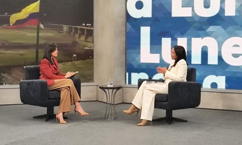 Manzano explicó que el objetivo de la reforma es ajustar los mecanismos de delegación y contratación en el sector eléctrico / Foto: cortesía MAE