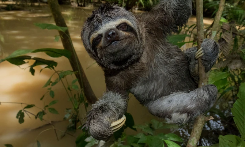 Photo: Lucas Bustamante/Conservation International