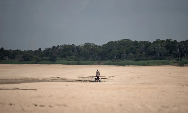 La sequía llegó más temprano a varias regiones de la Amazonía y está más severa y extensa que el año pasado / Foto EFE