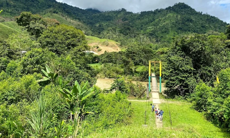 Es hogar de mamíferos como el oso de anteojos, el tapir de montaña y el puma/ Foto: cortesía Future Church