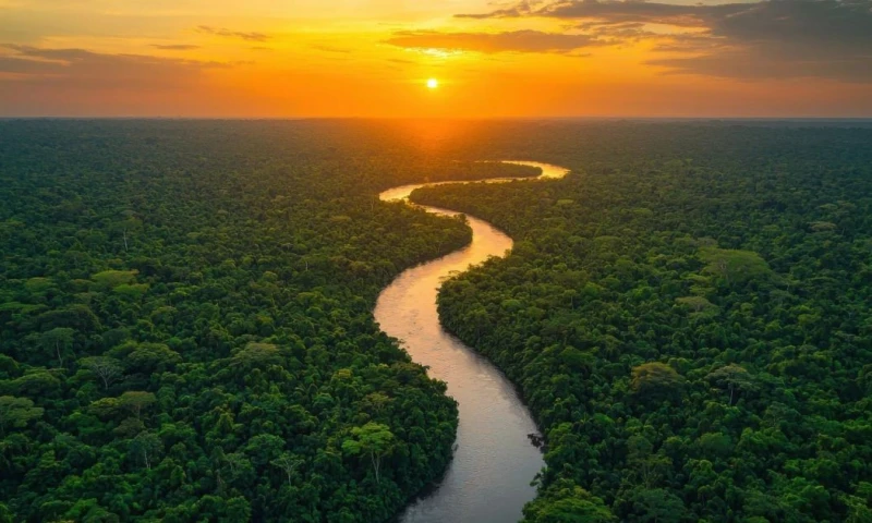También promueve una gestión sostenible e integrada de los ecosistemas dulceacuícolas / cortesía Mashpi Lodge