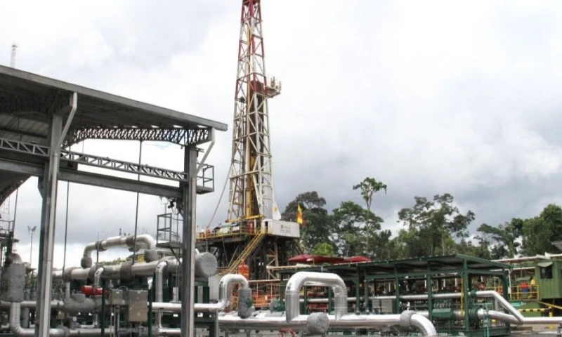 Orellana y Sucumbíos son las provincias petroleras de la región amazónica / Foto: cortesía Petroecuador