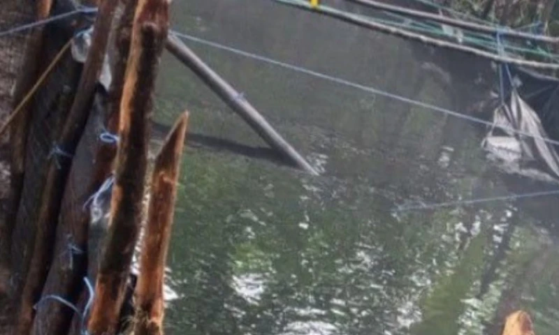 Se encontró una piscina artesanal que almacenaba cerca de 10.000 galones de gasolina blanca / Foto: cortesía Ministerio de Defensa