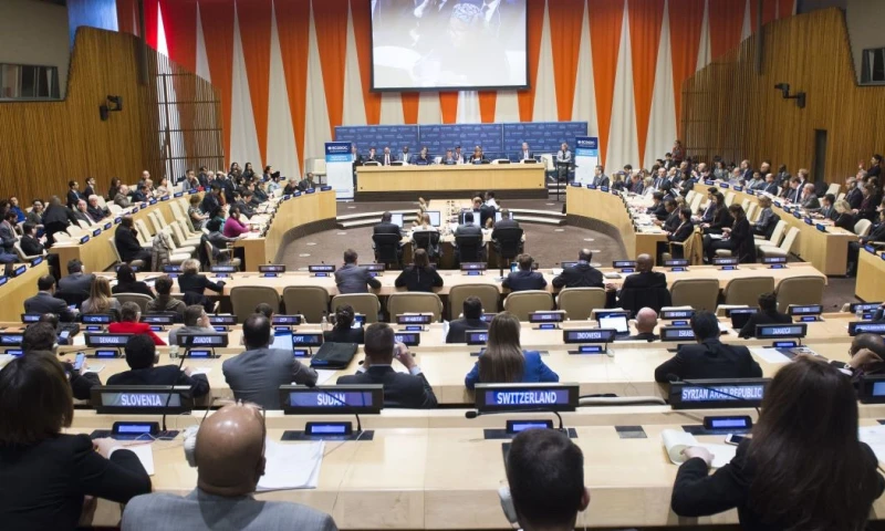 El ECOSOC es uno de los seis órganos principales de la ONU / Foto: cortesía ONU