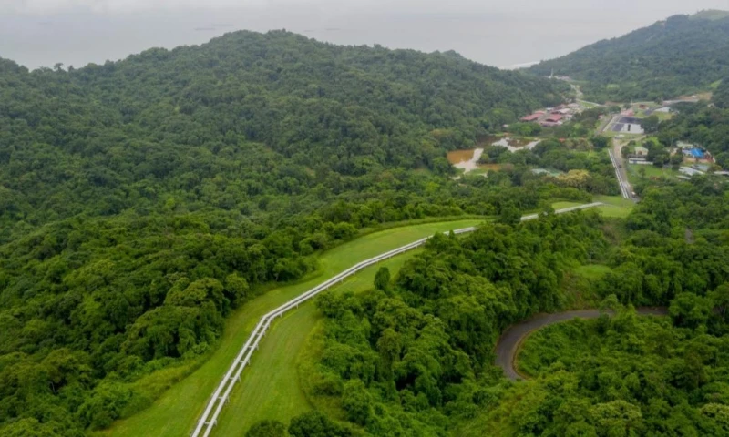 El Sistema de Oleoducto Transecuatoriano (SOTE) es uno de los principales sistemas de transporte de crudo del país / Foto: cortesía Petroecuador