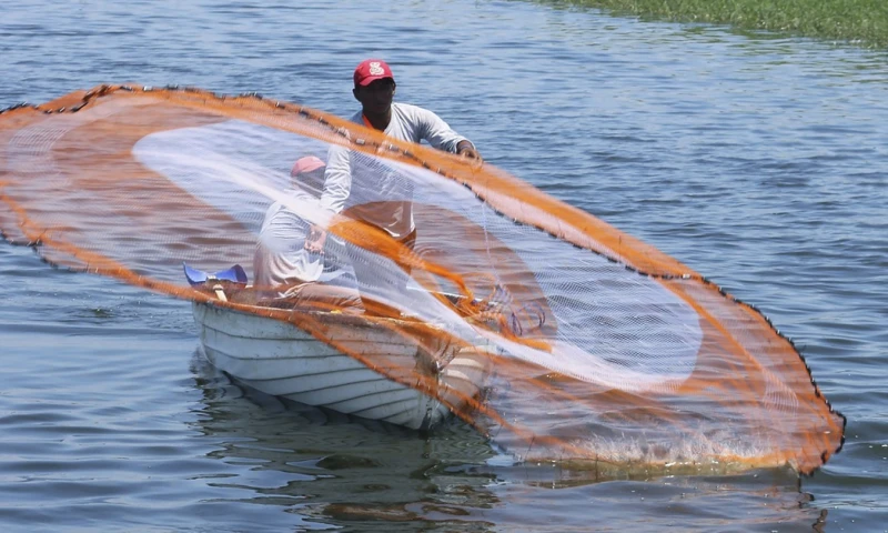 Según la Cámara Nacional de Acuacultura, al cierre de 2023 hubo "un gasto anual de 80 millones de dólares en materia de seguridad" / Foto: EFE