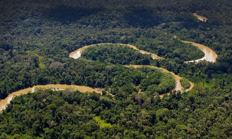 Foto: Revisa Vistazo