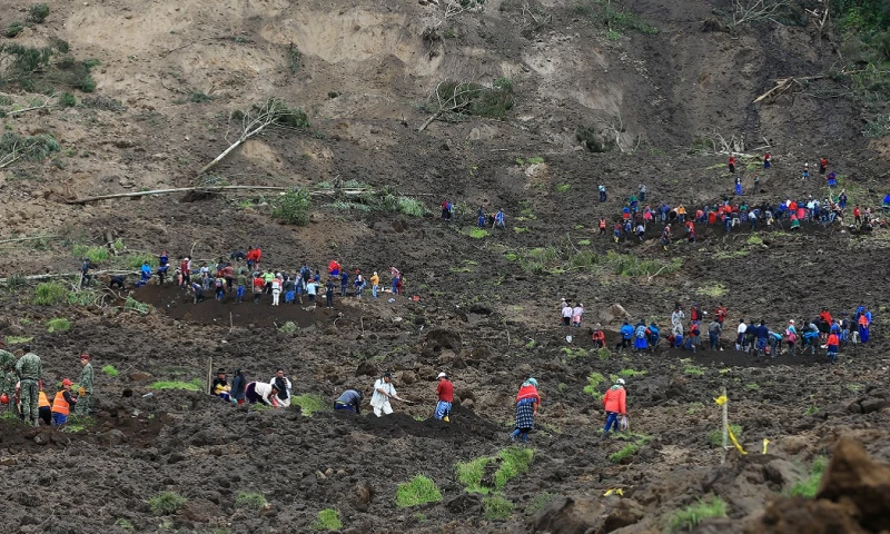 Un total de 163 viviendas han quedado afectadas y 57 destruidas / Foto: EFE 