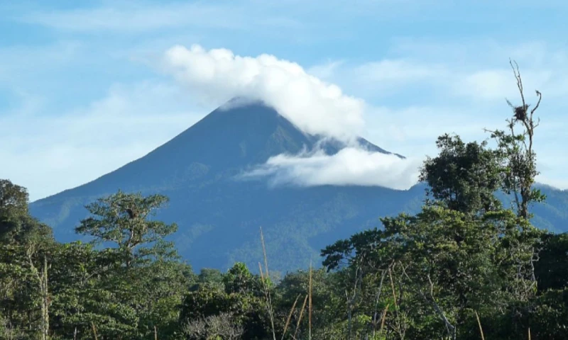 Principales noticias de Ecuador hoy - 1 de Mayo de 2025 / Foto: cortesía MAATE