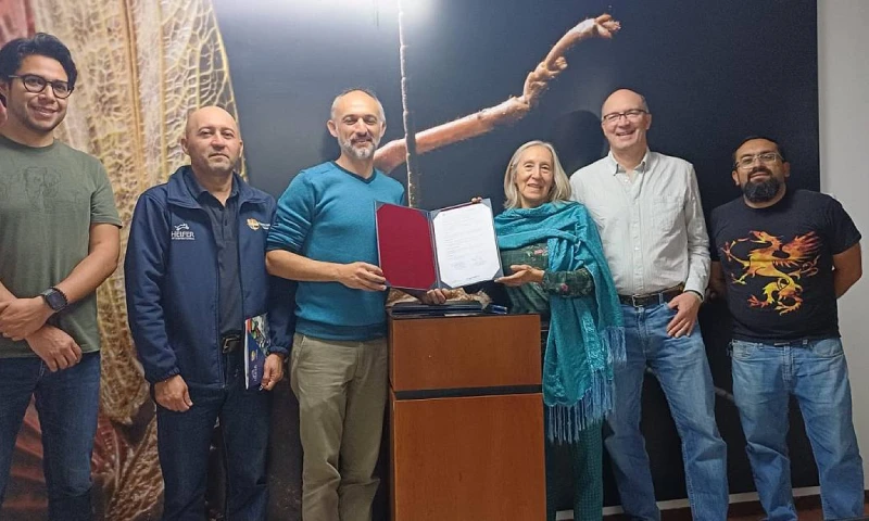 La iniciativa forma parte del programa productivo PROMESA, que promueve modelos agrícolas sostenibles en el país / Foto: cortesía Heifer Ecuador