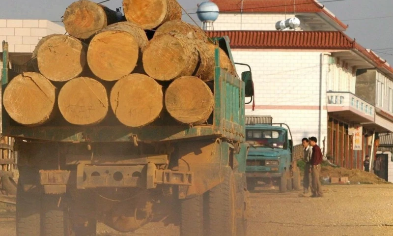 La UE sí incluyó en dicha categoría a Rusia, Bielorrusia, Corea del Norte y Birmania / Foto: EFE