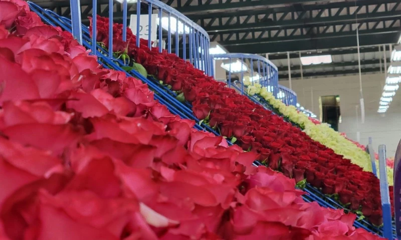 Principales noticias de Ecuador hoy - 11 de febrero de 2025 / Foto: cortesía Nicolás Larenas