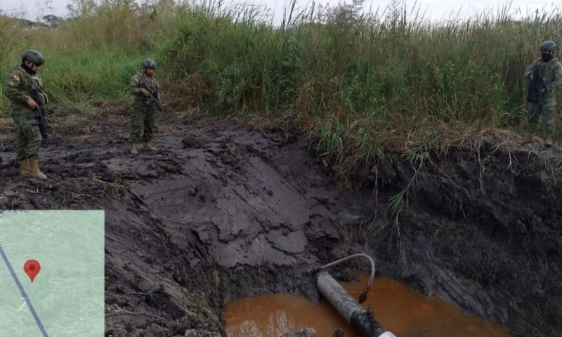 Tres de las seis organizaciones involucradas en este tráfico son extranjeras / Foto: cortesía