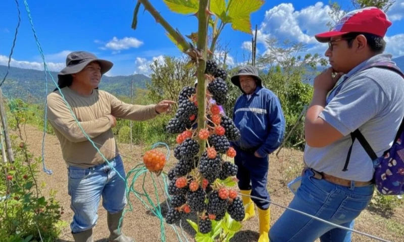 Se espera que estas visitas generen oportunidades reales de comercialización / Foto: cortesía MAG