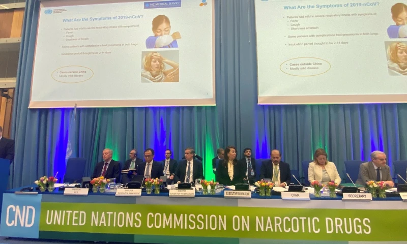 La ONU reconoce oficialmente las propiedades medicinales del cannabis. Foto: EFE