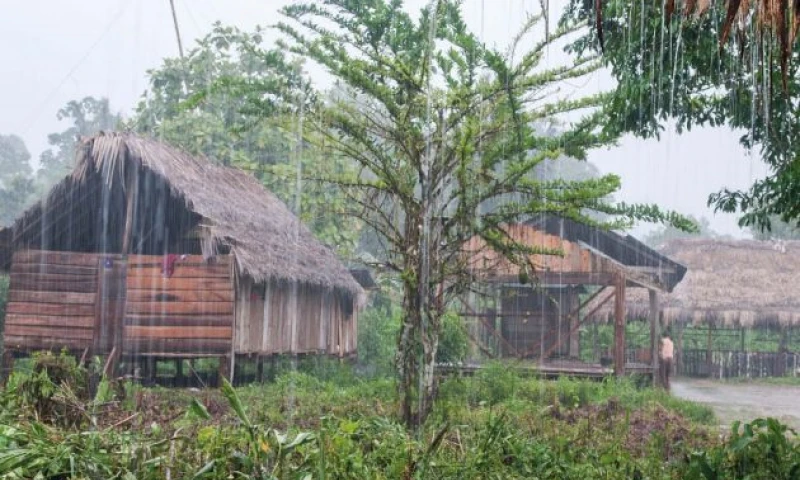 Llanchama: La única forma de llegar es por avioneta, desde el aeropuerto de Shell-Mera. La comunidad acoge a visitantes que, eventualmente, buscan “turismo de sanación”. Foto: Segundo Espín.